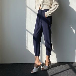 Aritzia Babaton Dexter Pants Navy